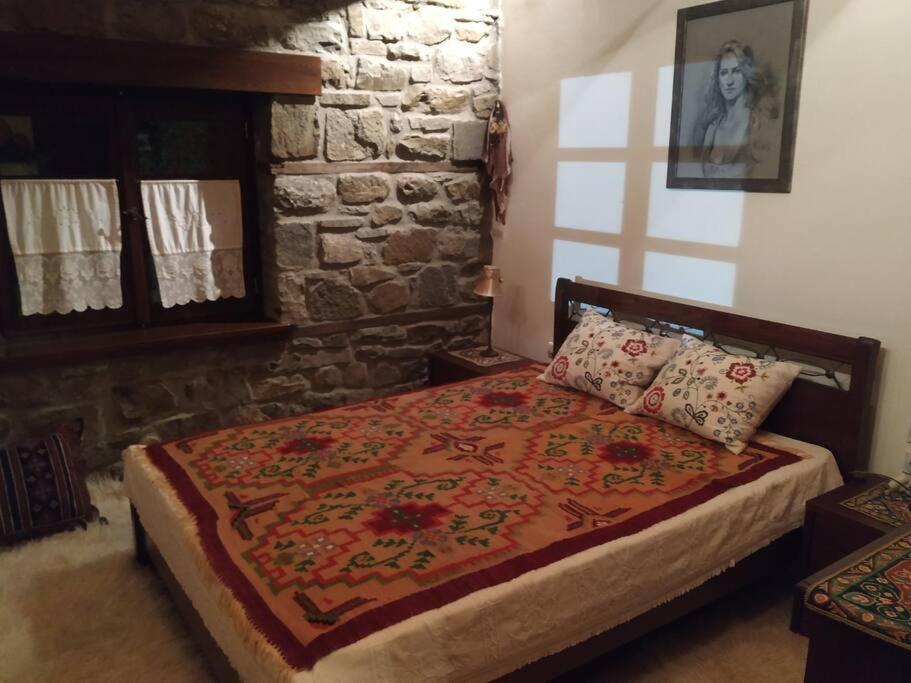 Παραδοσιακή Πέτρινη Κατοικία Στην Βλάχα Ελάτης Extérieur photo