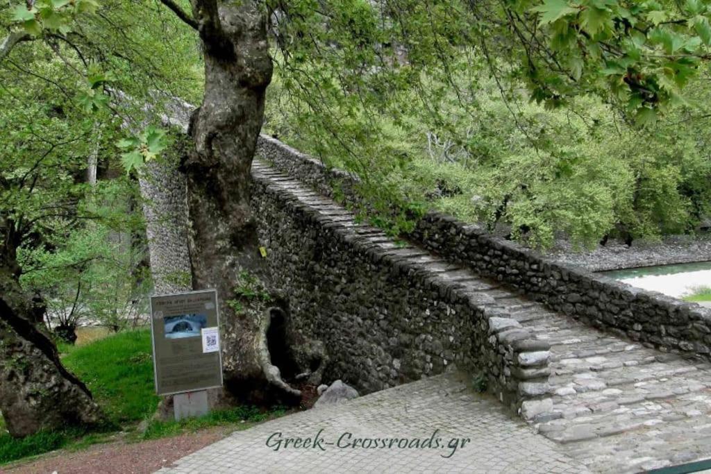 Παραδοσιακή Πέτρινη Κατοικία Στην Βλάχα Ελάτης Extérieur photo