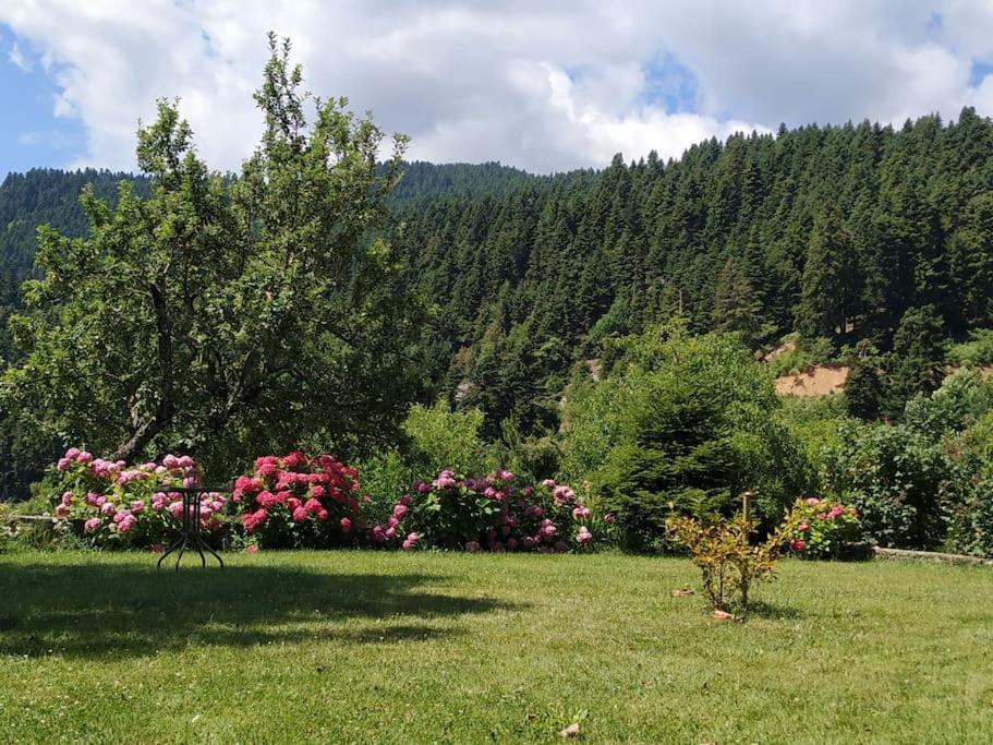 Παραδοσιακή Πέτρινη Κατοικία Στην Βλάχα Ελάτης Extérieur photo